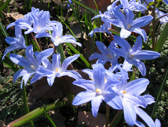 Similar image 1146720