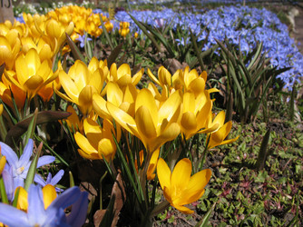 Similar image 1146739