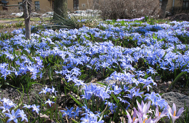 Similar image 1146741