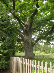 Similar image 1146762