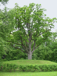 Similar image 1146767