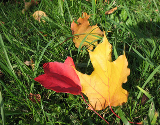 Similar image 1146776