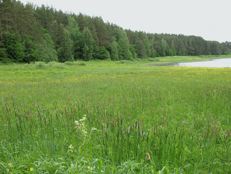 Similar image 1146777