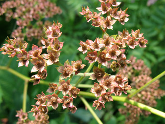 Similar image 1146779