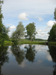 Similar image 1146781