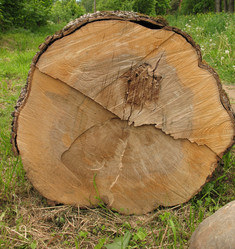 Similar image 1146782