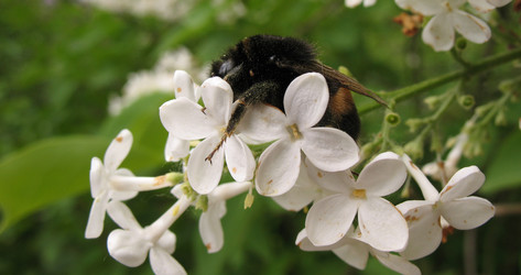 Similar image 1146797