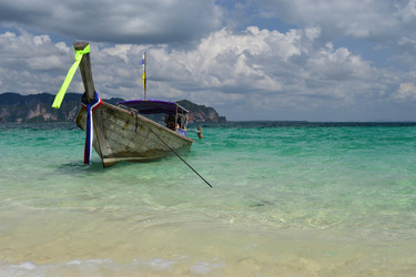 Similar image 1146835