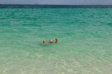 Similar image 1146836