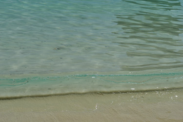 Similar image 1146839