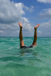 Similar image 1146841