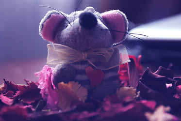 Similar image 1146858