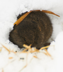 Similar image 1146860