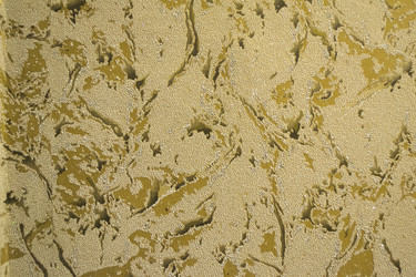 Similar image 1146876