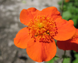 Similar image 1146923