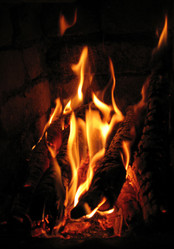 Similar image 1146924