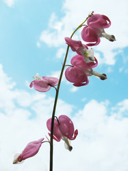 Similar image 1146926