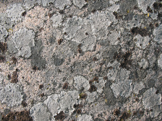 Similar image 1146941