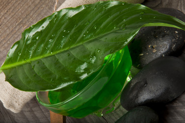 Similar image 1146956