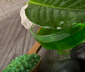 Similar image 1146957