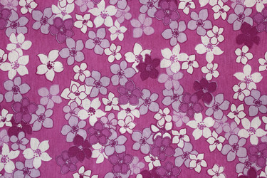 Similar image 1146961