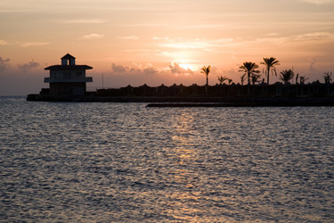 Similar image 1147026