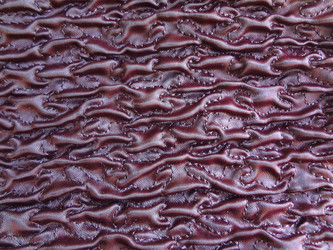 Similar image 1147071