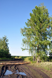 Similar image 1147074