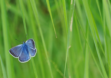 Similar image 1147079