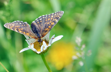 Similar image 1147080