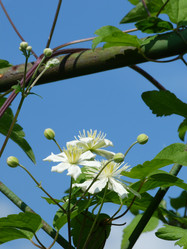 Similar image 1147081