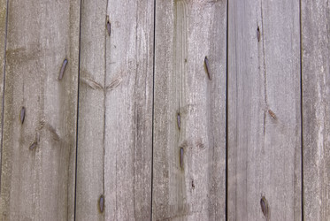 Similar image 1147119