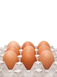 Similar image 1147143