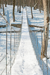 Similar image 1147208