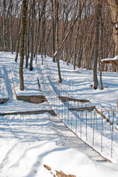 Similar image 1147209