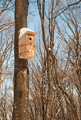 Similar image 1147210