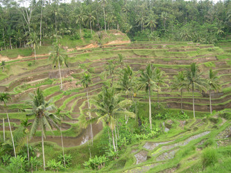 Similar image 1147232