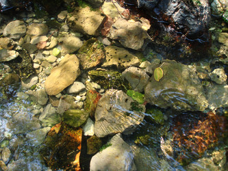 Similar image 1147238