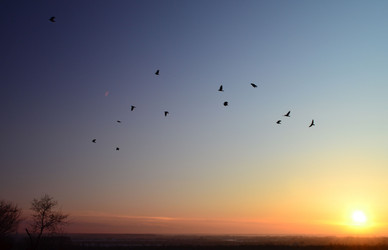 Similar image 1147252