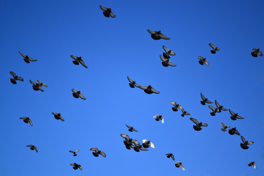 Similar image 1147253