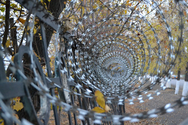 Similar image 1147259