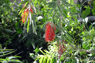 Similar image 1147261