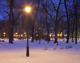 Similar image 1147264