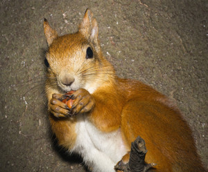 Similar image 1147365