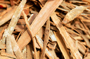 Similar image 1147412