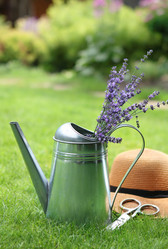 Similar image 1147422