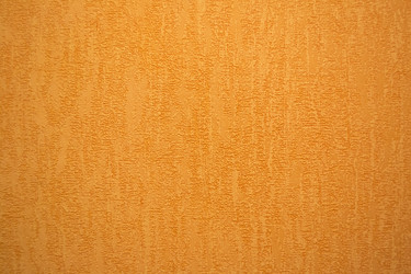 Similar image 1147494