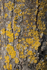 Similar image 1147498