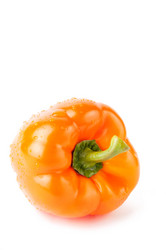 Similar image 1147569