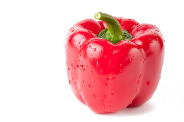 Similar image 1147603